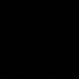 Meet your Posher, Isabella